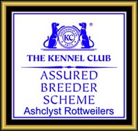 Kennel Club